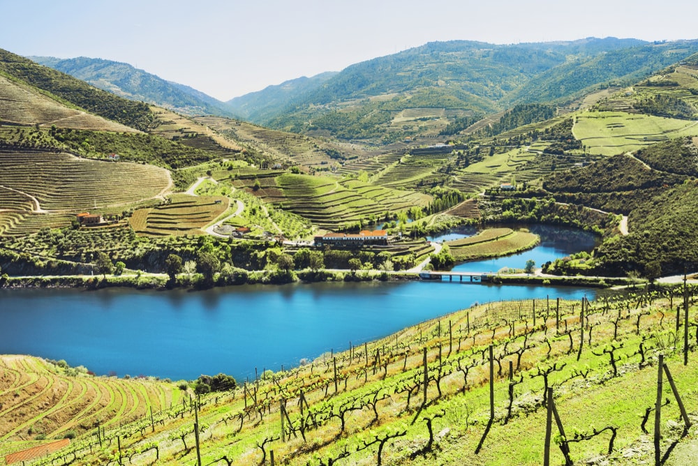 yacht ride in douro from porto - Living Tours