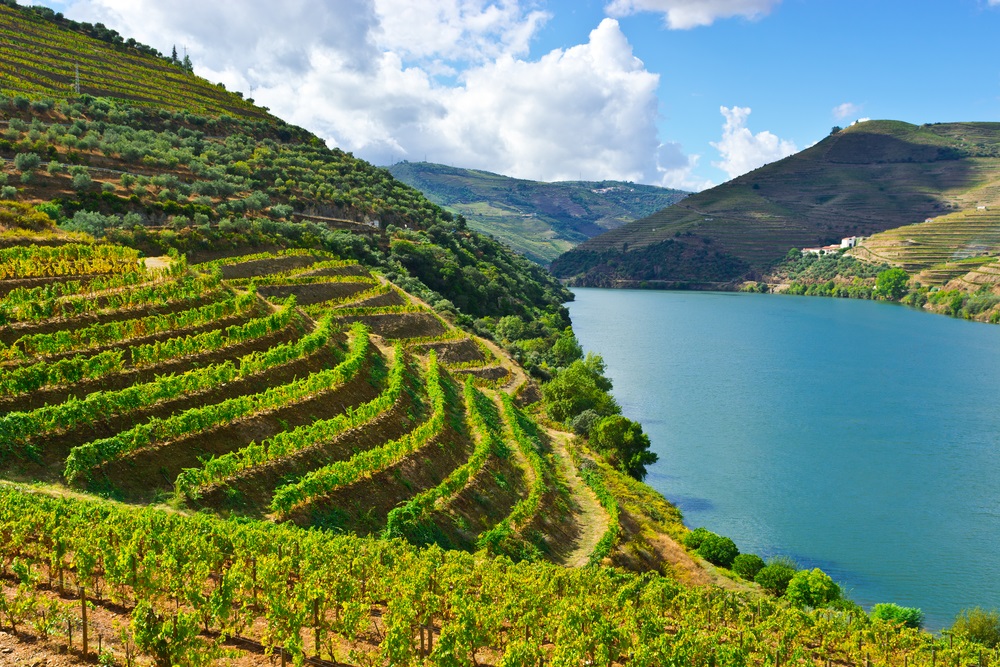 Vallée du Douro - Living Tours