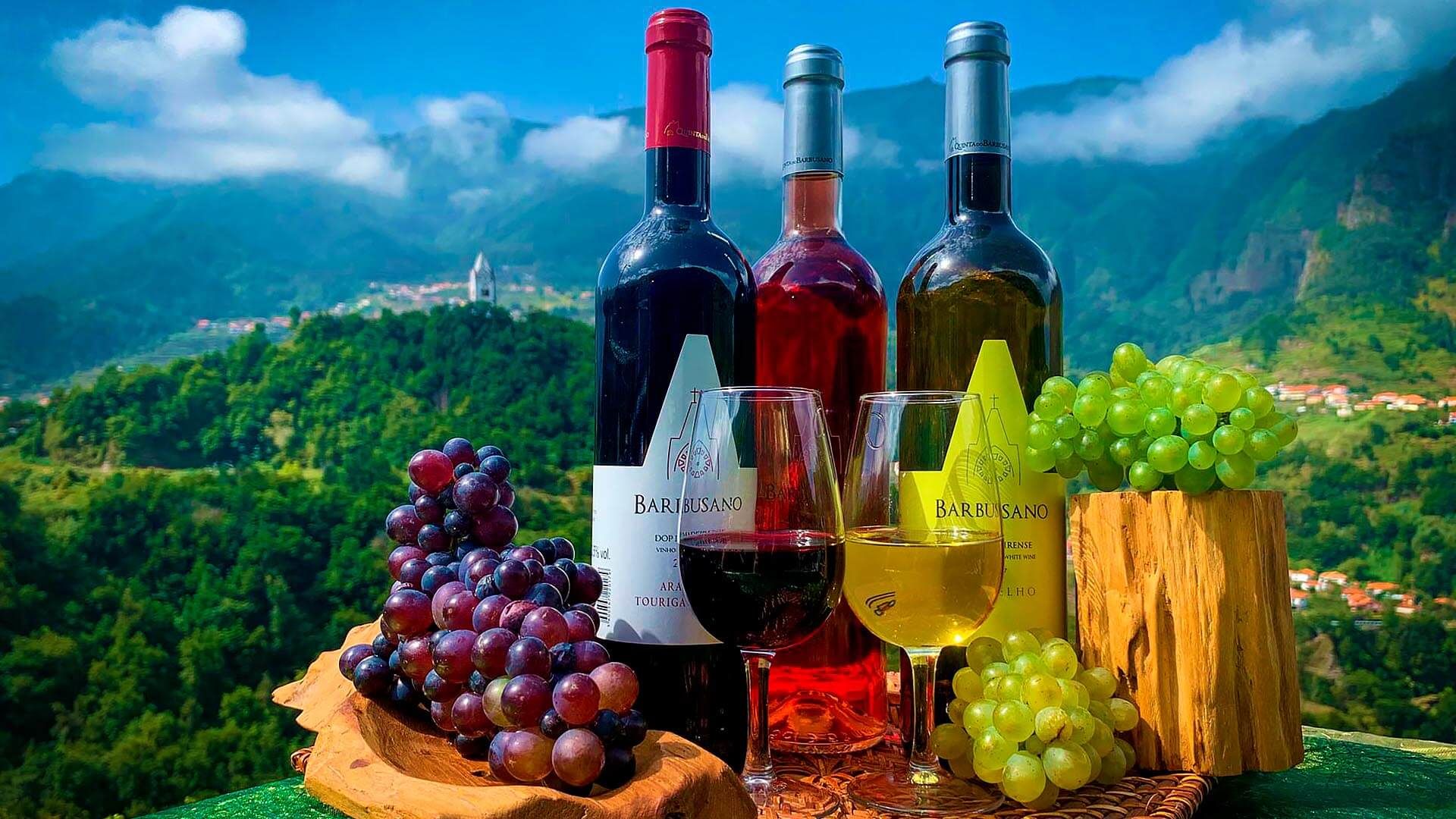 Madeira Wine Tasting, Vineyards and Skywalk to Cabo Girão by Living Tours