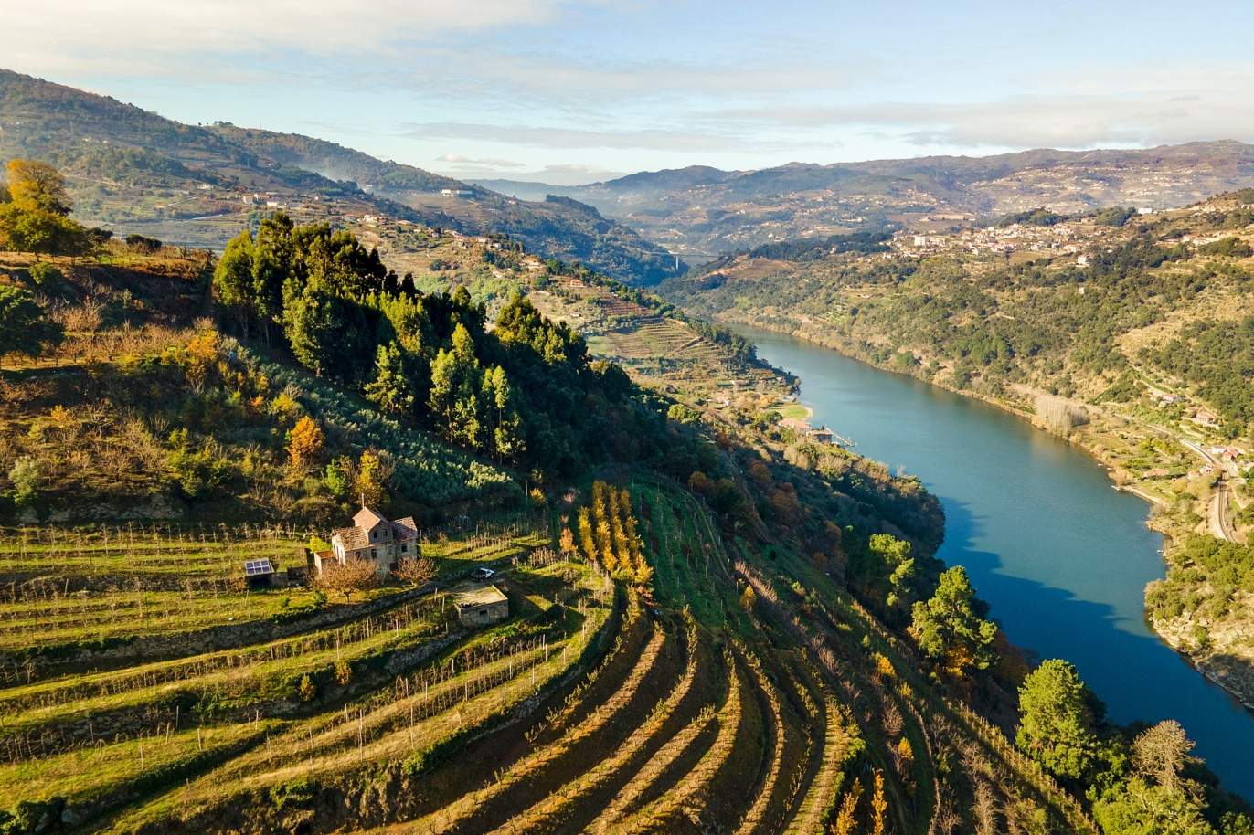 Douro Valley - Living Tours