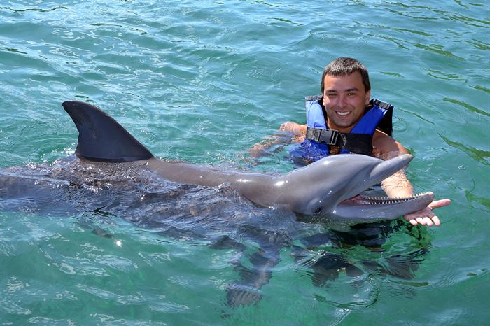 Você sabe o que está por trás do nado com golfinhos?