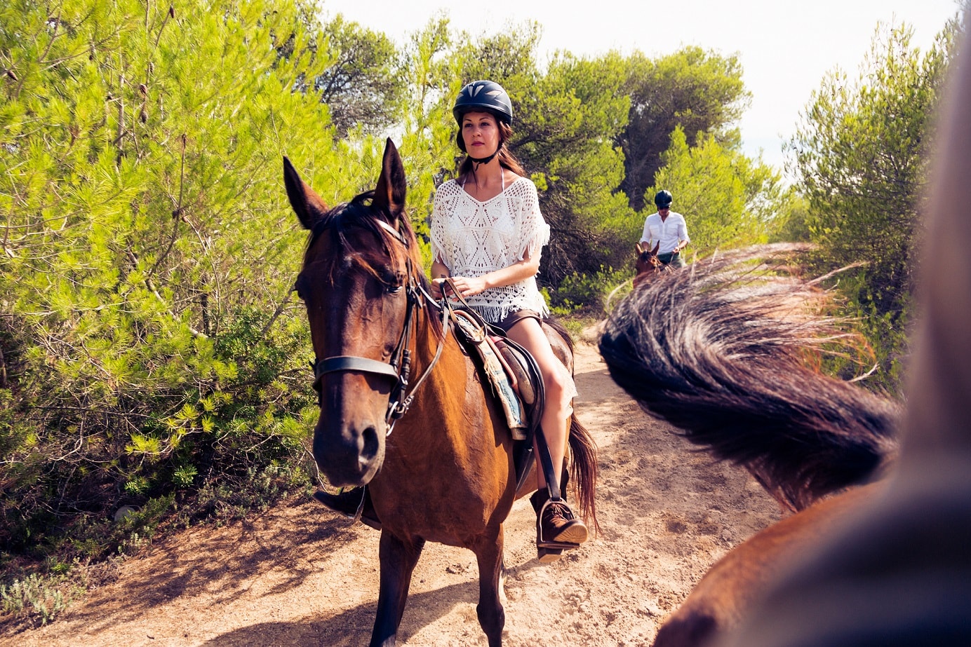 Randonnée à cheval dans les bois d'Aveiro