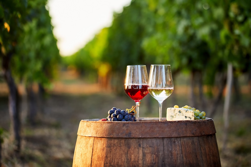 Wine Tours from Barcelona