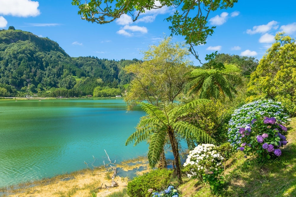 Azores airport to Furnas - Living Tours