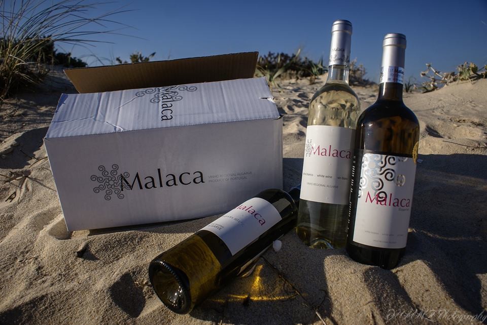 Wine tasting at Quinta Da Malaca by Living Tours