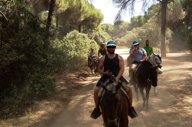 Bautismo de caballos andaluces - Living Tours