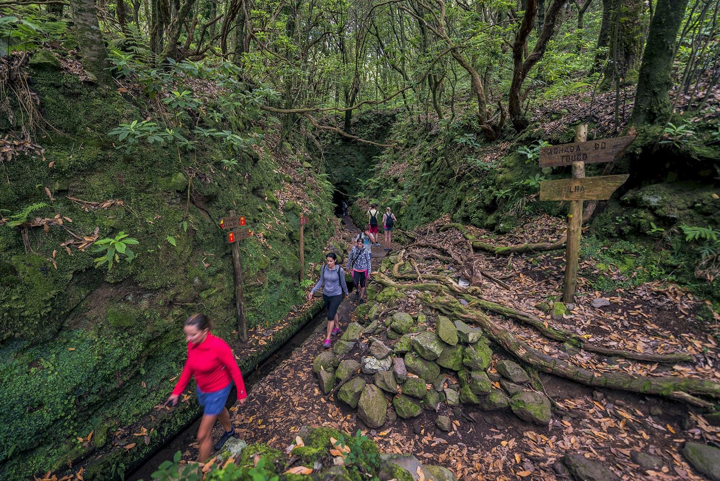 Caminata por las levadas, Isla de Madeira - Living Tours