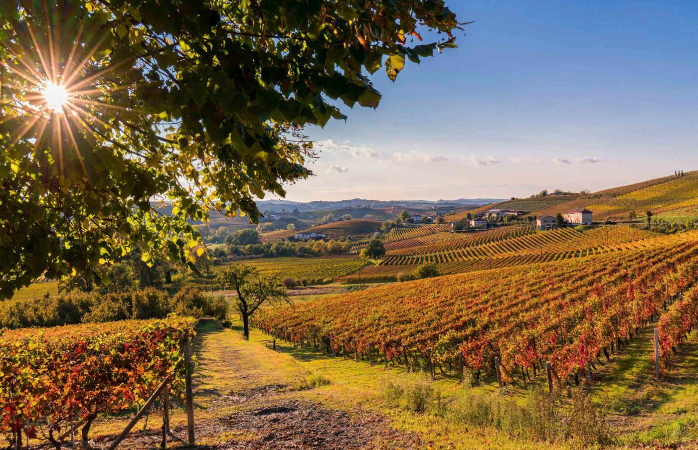 Tour privado na Bairrada com prova de vinhos e almoço tradicional, image size:1400x903