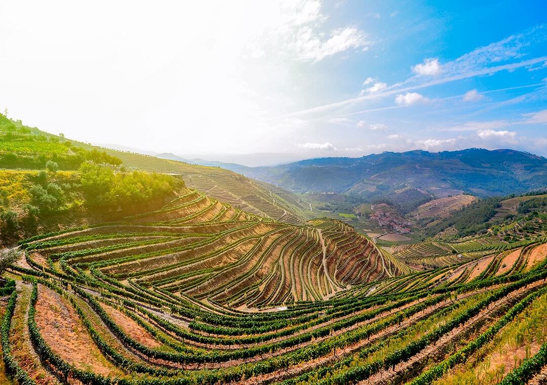 Best Douro valley Tours - Living Tours