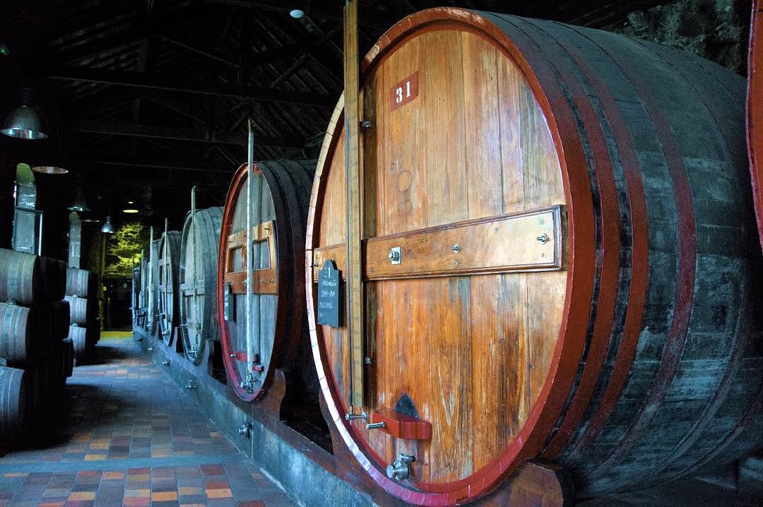 Burmester Cellars Visit wine barrels - Living Tours
