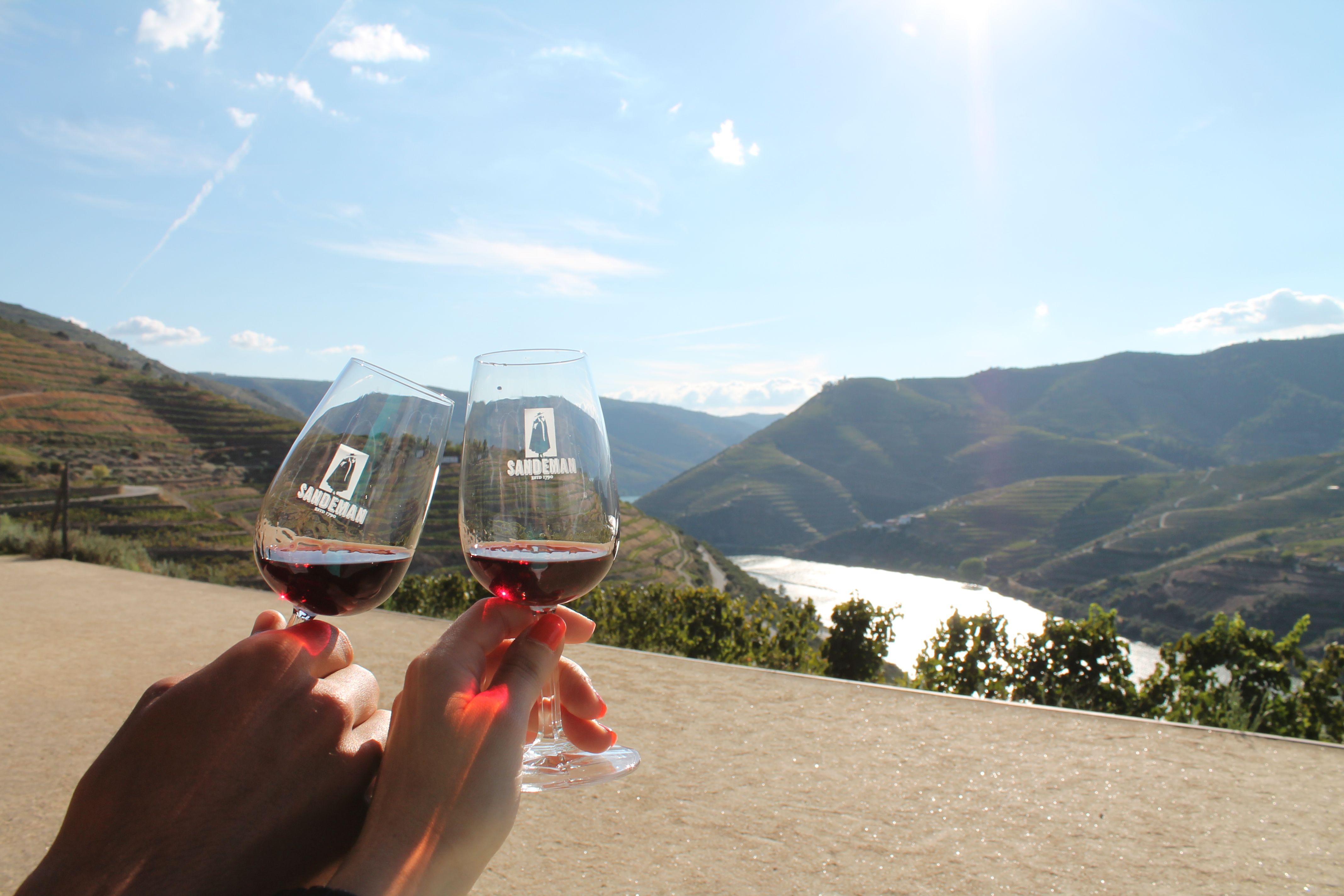 Visite du domaine viticole de la vallée du Douro - Living Tours