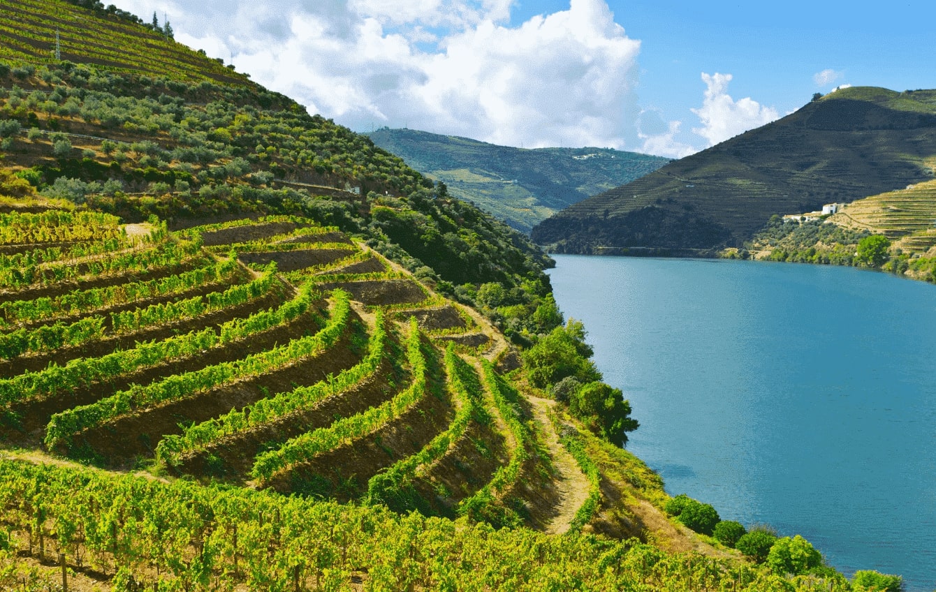 Douro Premium Tour with lunch - Living Tours