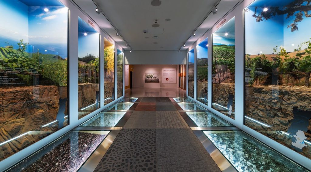 Wine experience museu