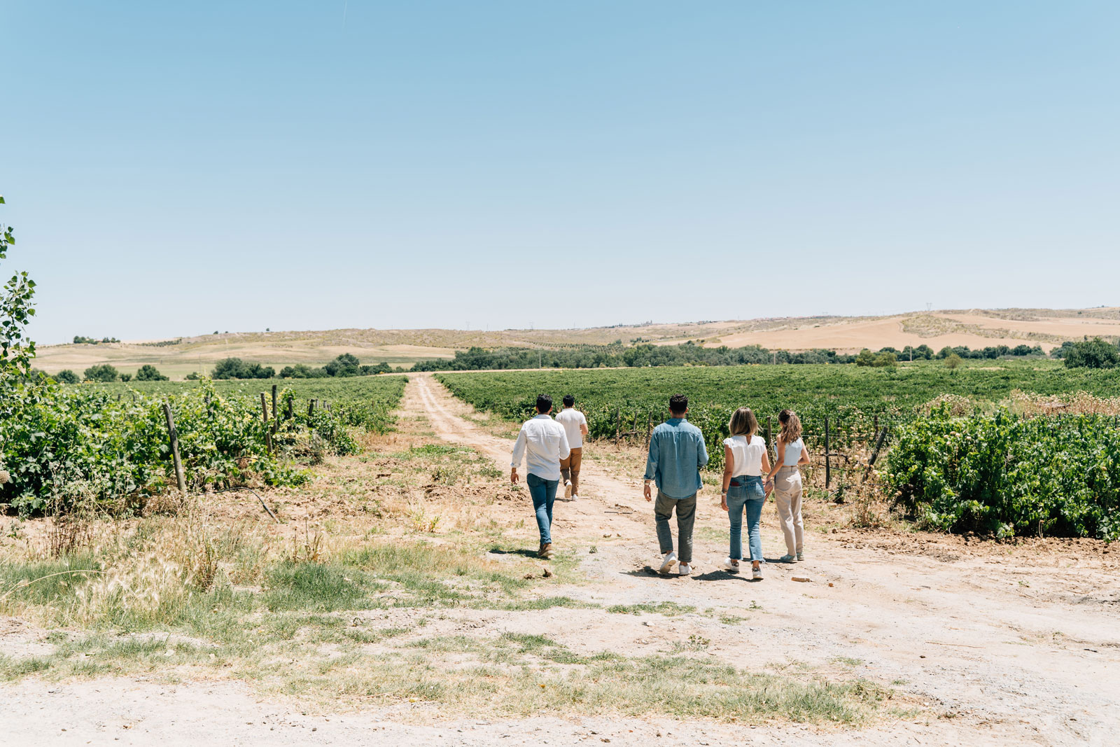 Explorar as encantadoras vinhas e aldeias de Madrid