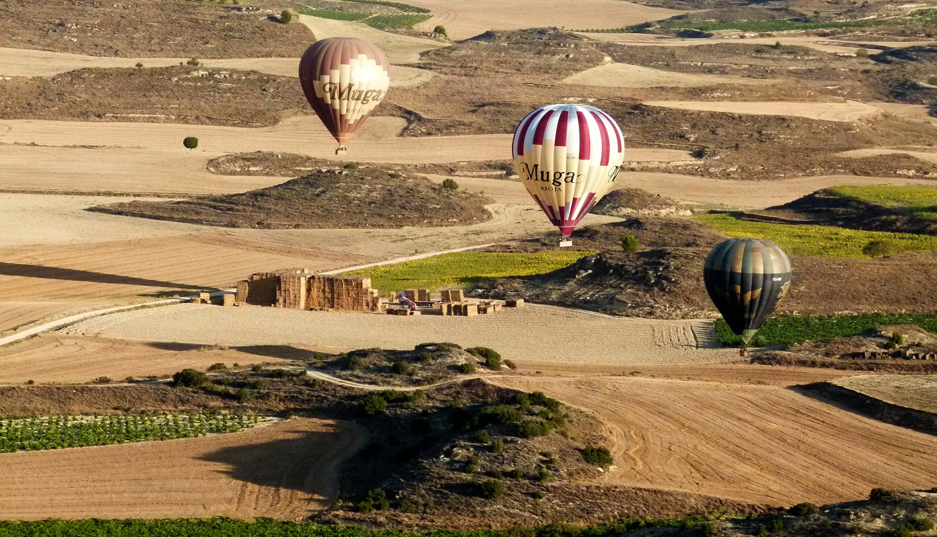 Vol en montgolfière au-dessus du paradis viticole de la Rioja
