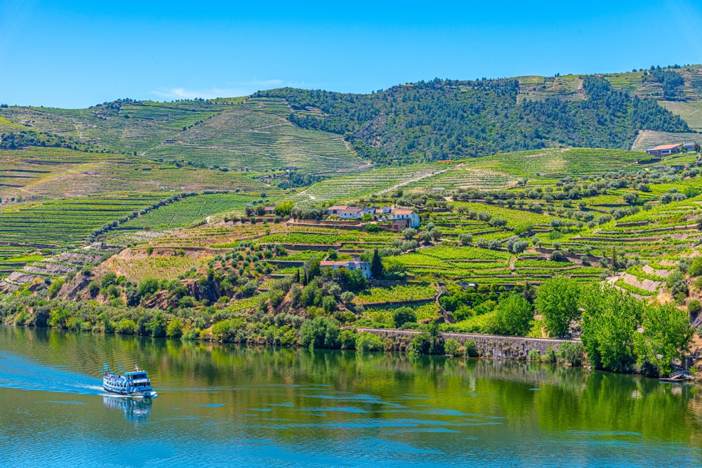 Douro Valley Cruise from Porto to Régua - Living Tours