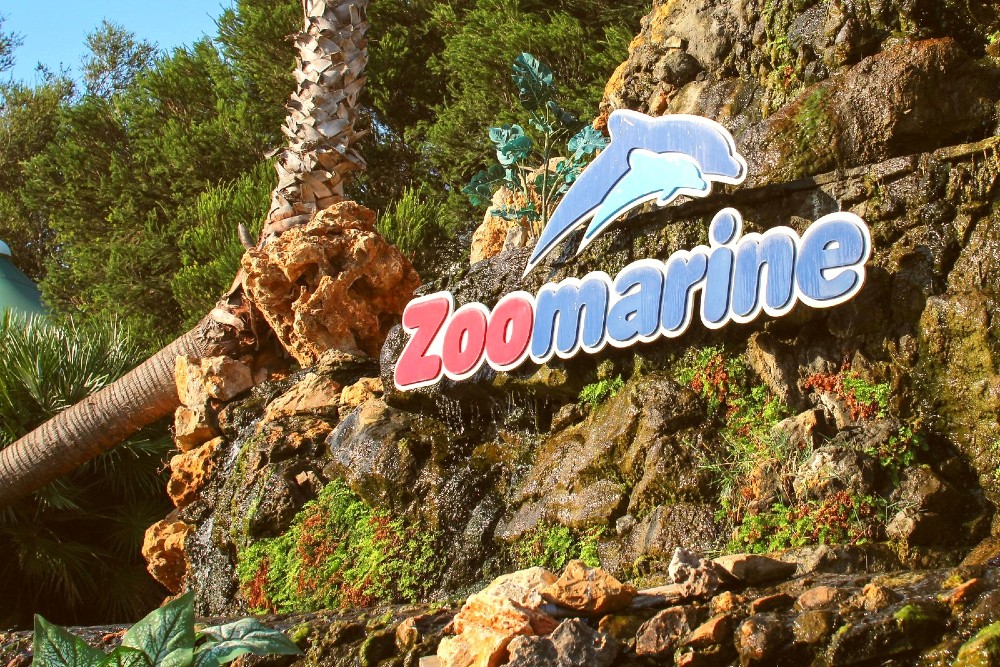 Tickets to Zoomarine Theme Park, Algarve - Living Tours
